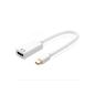Ewent Adaptador Mini Displayport/ HDMI 4K Ewent Adaptador Mini Displayport/ HDMI 4K