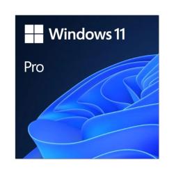 Microsoft Windows 11 Pro 64b ESD