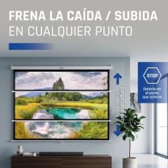 iggual Pantalla manual 1:1 100" 180x180 cm