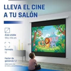 iggual Pantalla eléctrica 1:1 100" 180x180 cm