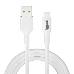 iggual cable USB-A/micro-USB 100 cm blanco