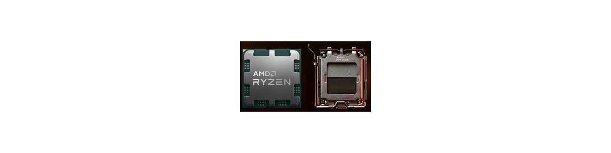 Micros AMD socket AM5